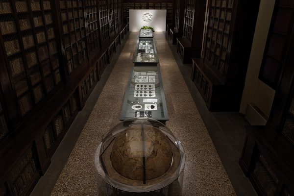 Andreco_The Plants are Revolutionaires_Palazzo Poggi BO_02,2018_0035
